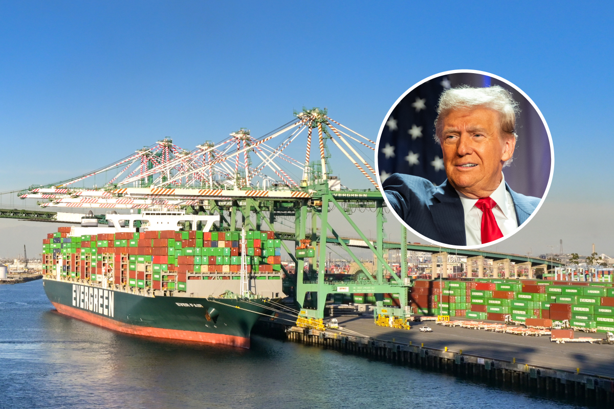 Why “Trump Losers” Are the Biggest Stock Market Winners