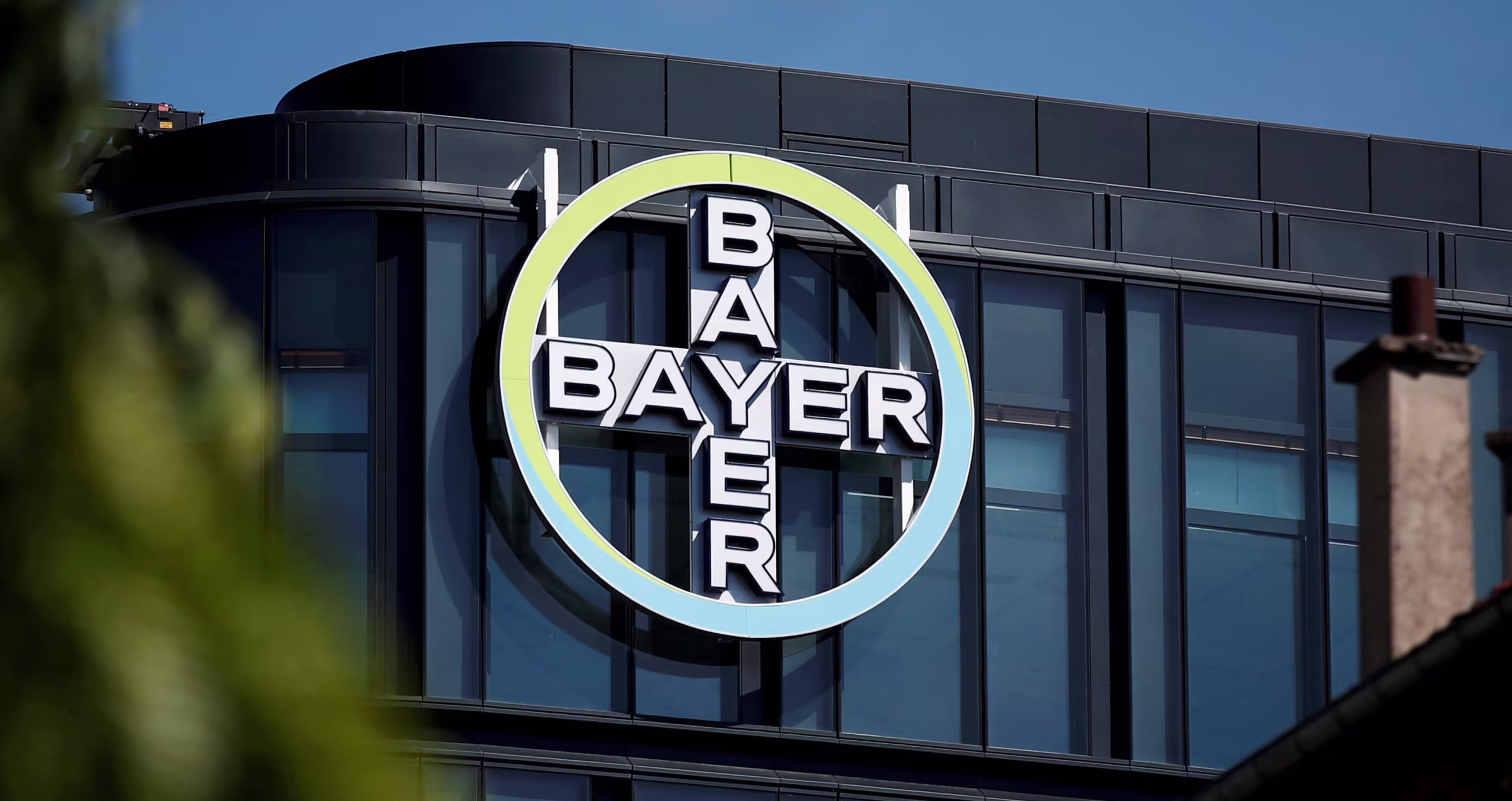 The Bayer Group saw a solid start to the year